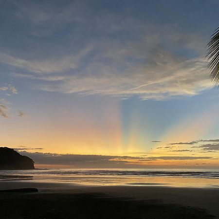 San Francisco de Coyote Alouatta Playa Coyoteホステル エクステリア 写真