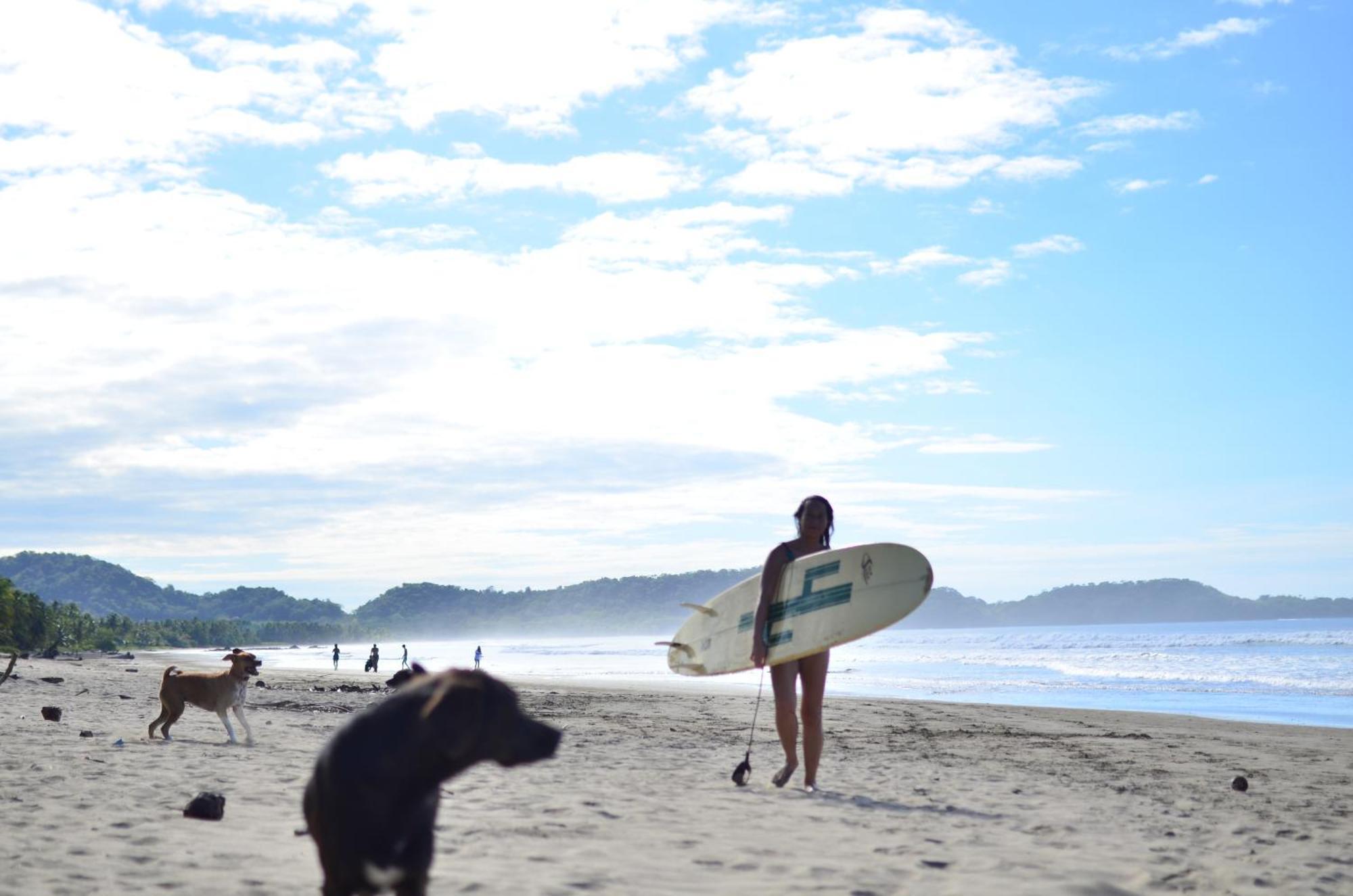 San Francisco de Coyote Alouatta Playa Coyoteホステル エクステリア 写真