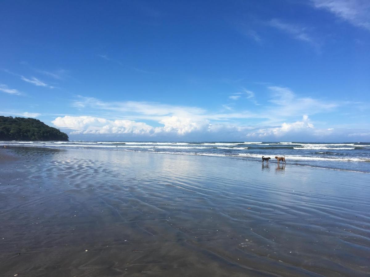 San Francisco de Coyote Alouatta Playa Coyoteホステル エクステリア 写真